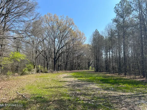 $923,685 | Ms-8, Calhoun City, MS 38916