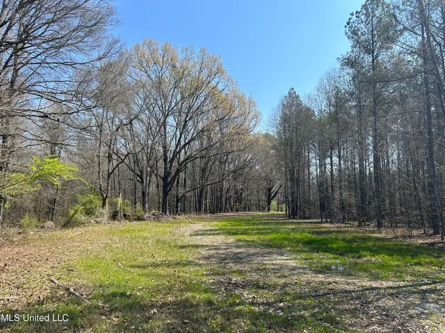 $923,685 | Ms-8, Calhoun City, MS 38916