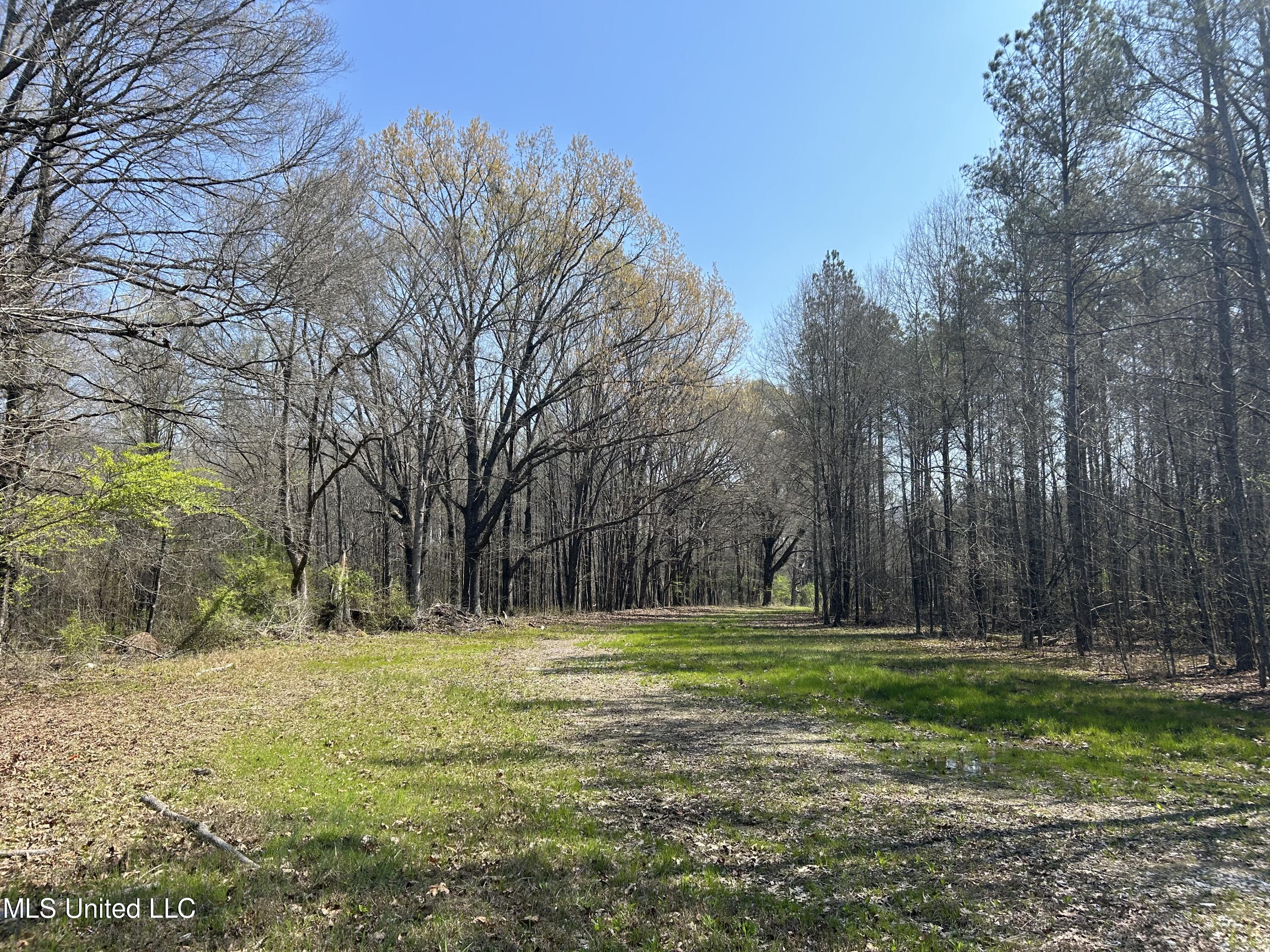 Ms-8 Calhoun City, MS 38916 - Photo 4 of 61 Photo Mar 23 2024, 11 37 26 AM