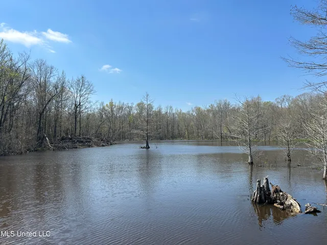 $923,685 | Ms-8, Calhoun City, MS 38916