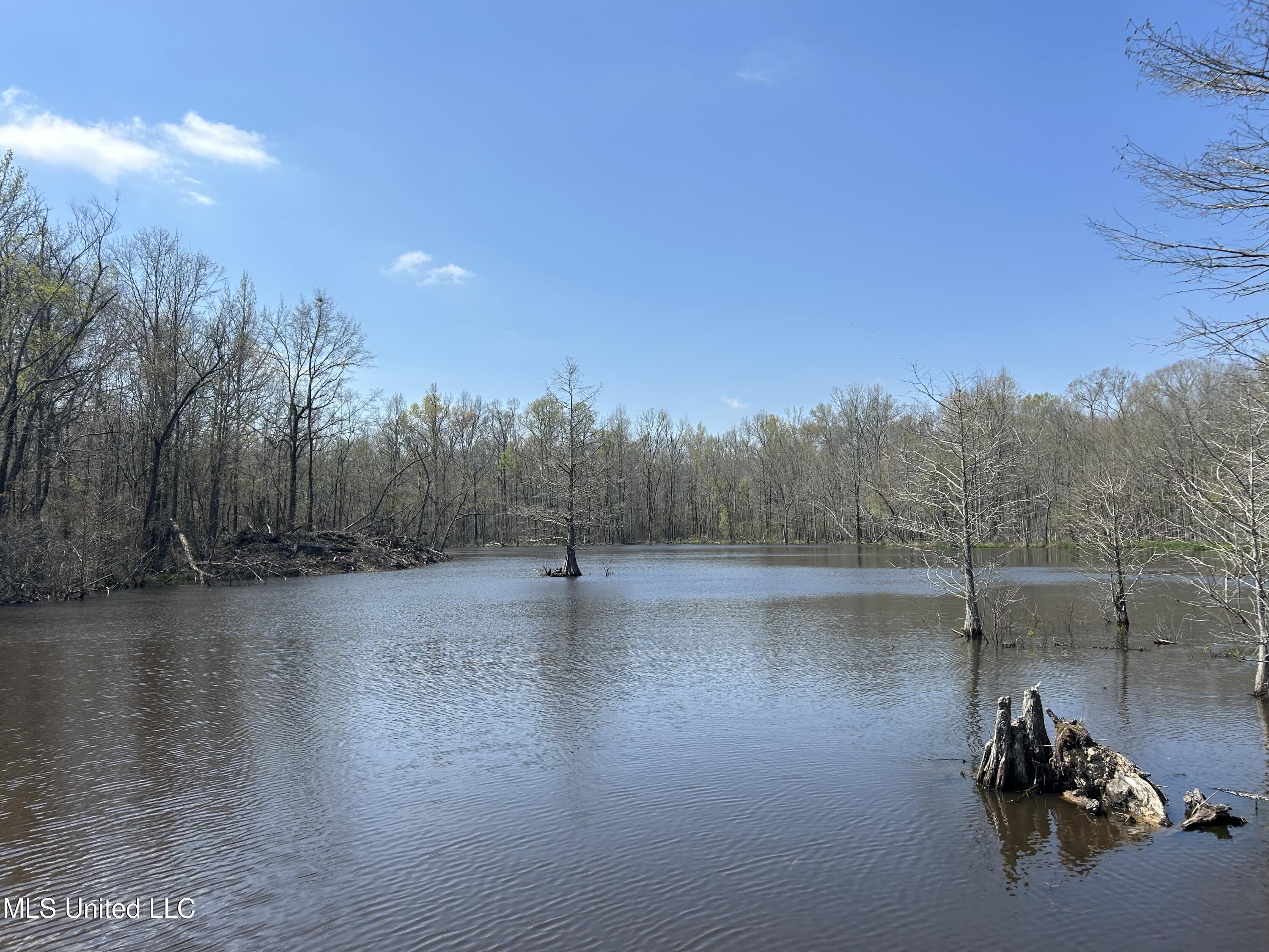 Ms-8 Calhoun City, MS 38916 - Photo 41 of 61 Photo Mar 23 2024, 12 06 31 PM