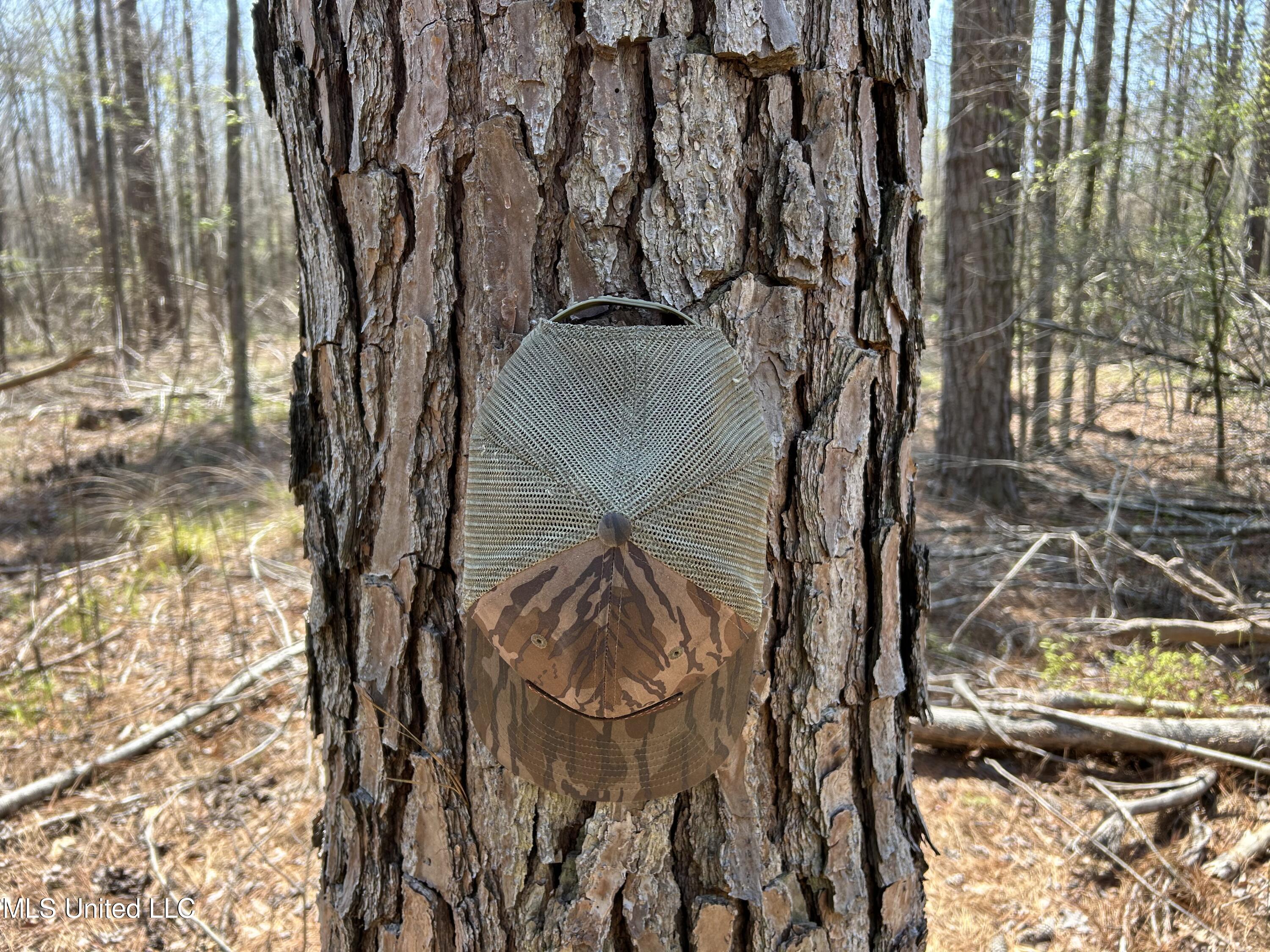 Ms-8 Calhoun City, MS 38916 - Photo 44 of 61 Photo Mar 23 2024, 12 22 35 PM
