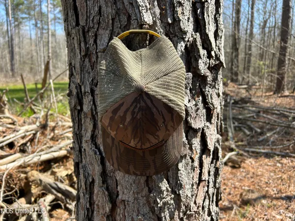 $923,685 | Ms-8, Calhoun City, MS 38916