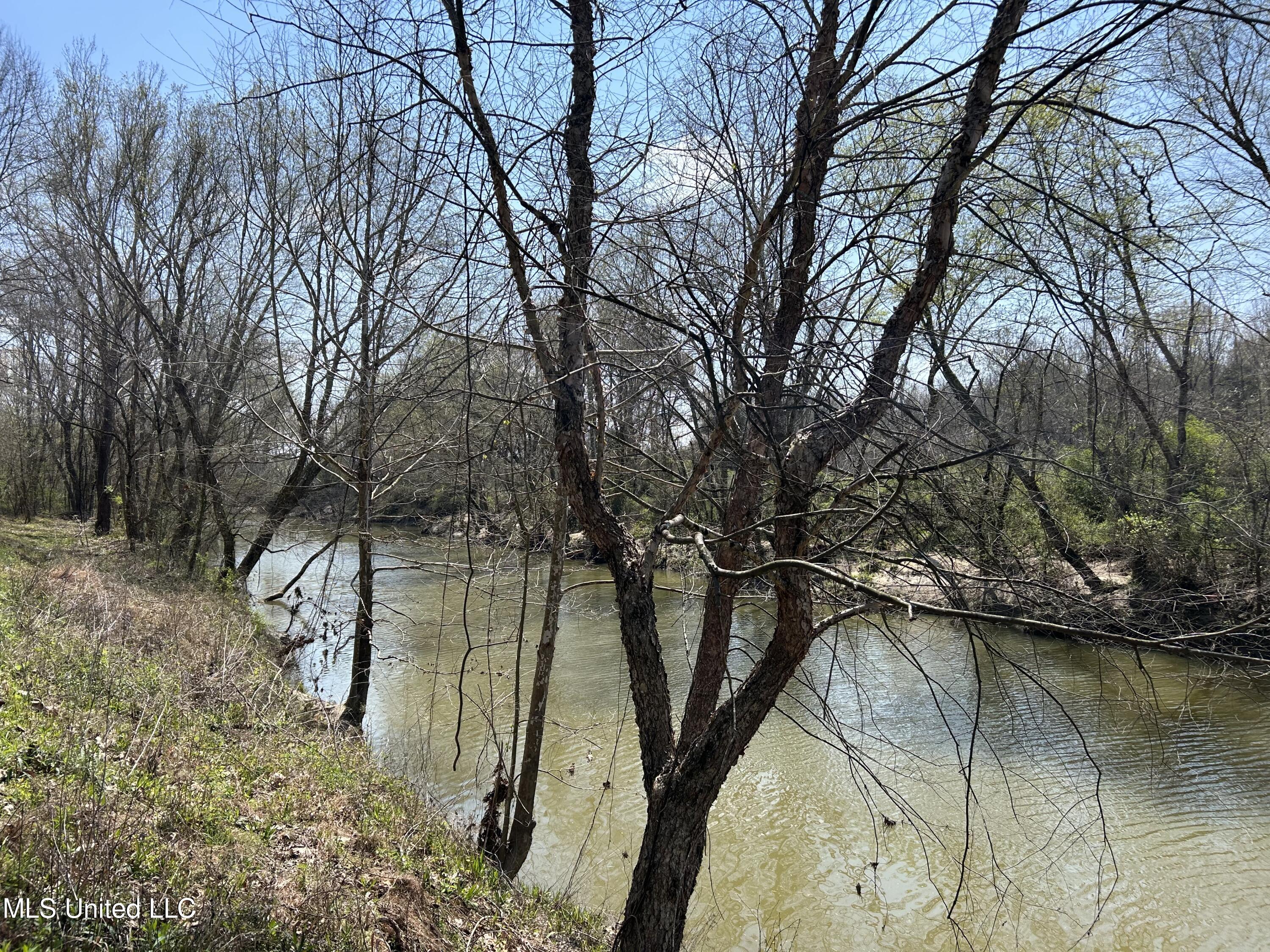 Ms-8 Calhoun City, MS 38916 - Photo 46 of 61 Photo Mar 23 2024, 12 28 20 PM