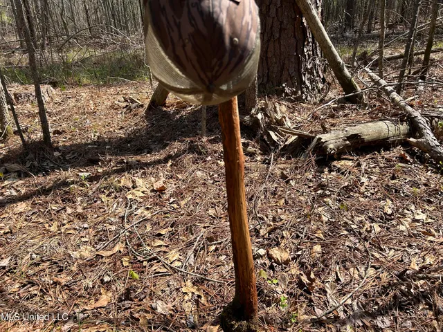 $923,685 | Ms-8, Calhoun City, MS 38916