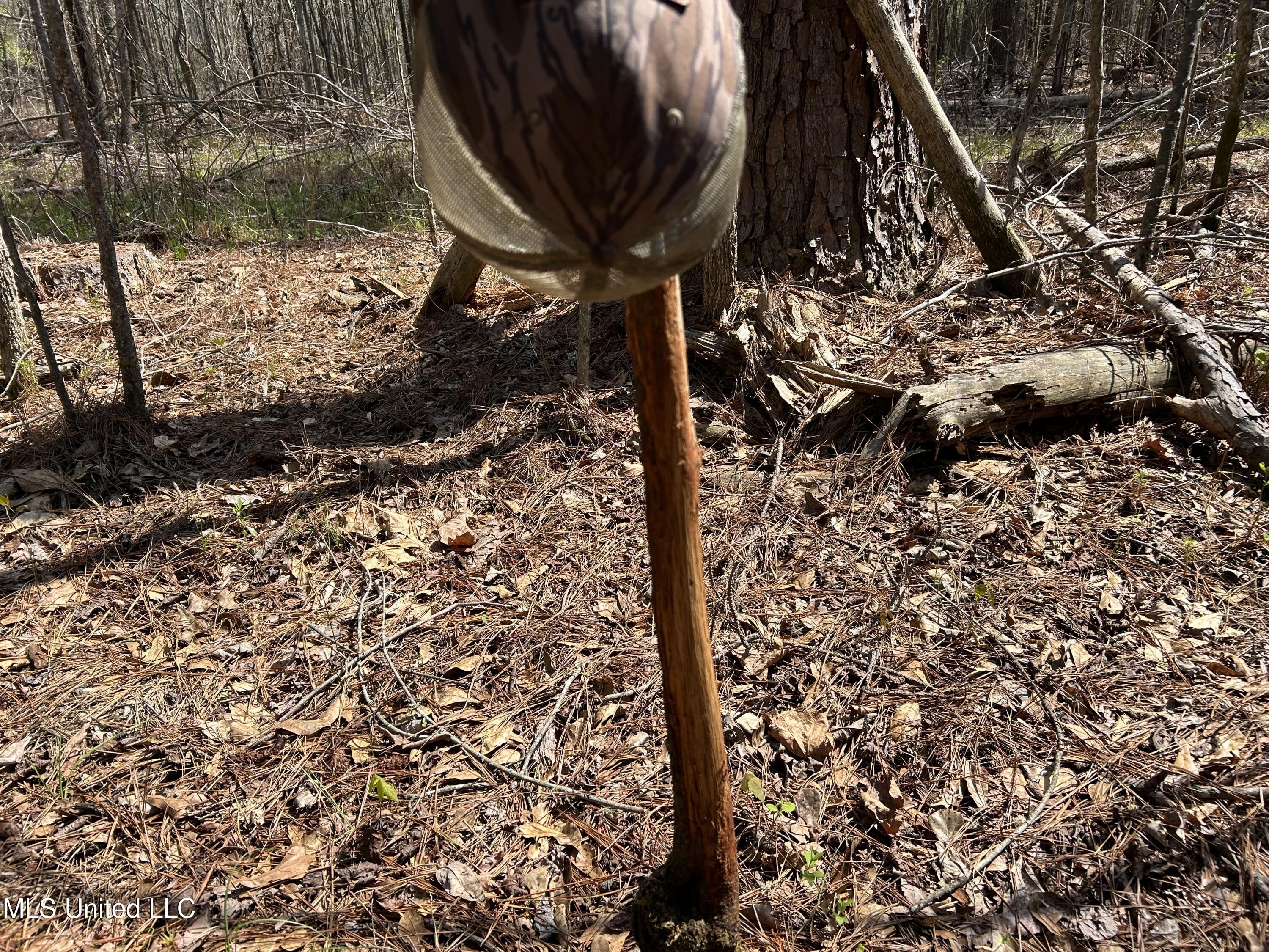 Ms-8 Calhoun City, MS 38916 - Photo 47 of 61 Photo Mar 23 2024, 12 36 42 PM