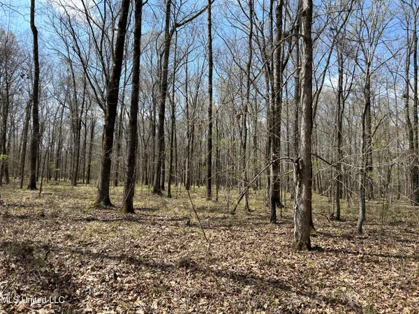 $923,685 | Ms-8, Calhoun City, MS 38916