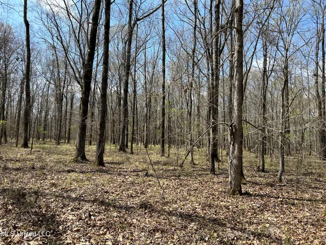 $923,685 | Ms-8, Calhoun City, MS 38916