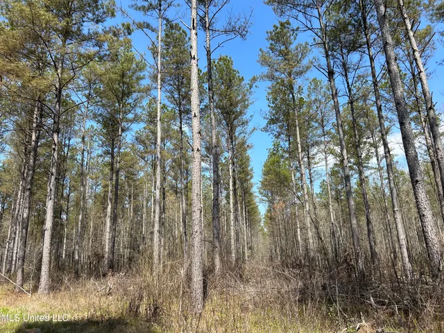 $923,685 | Ms-8, Calhoun City, MS 38916