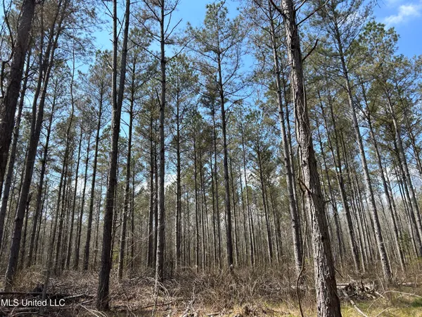 $923,685 | Ms-8, Calhoun City, MS 38916