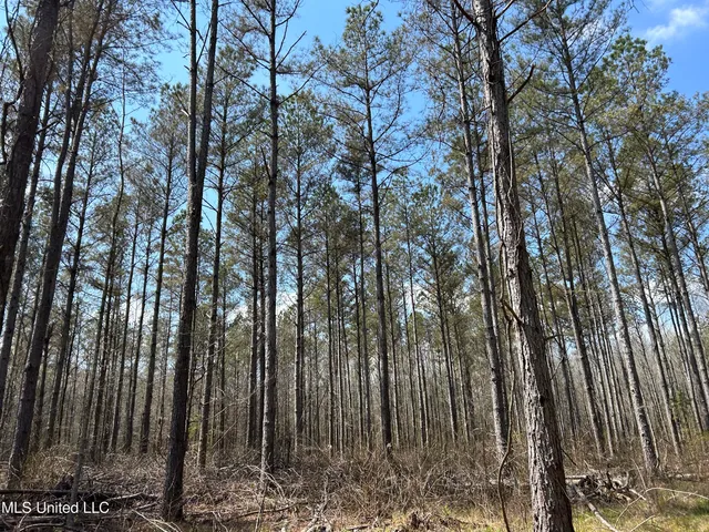 $923,685 | Ms-8, Calhoun City, MS 38916