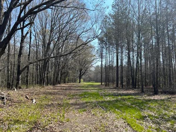 $923,685 | Ms-8, Calhoun City, MS 38916