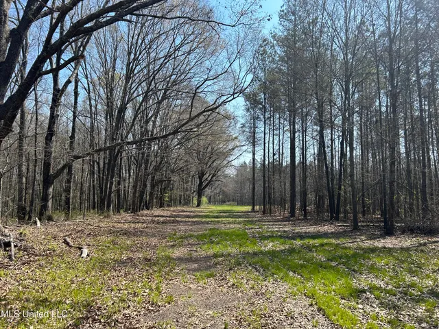 $923,685 | Ms-8, Calhoun City, MS 38916