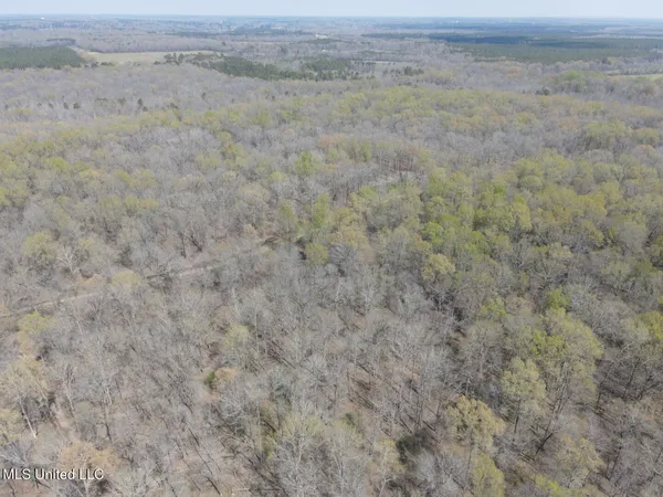 $923,685 | Ms-8, Calhoun City, MS 38916