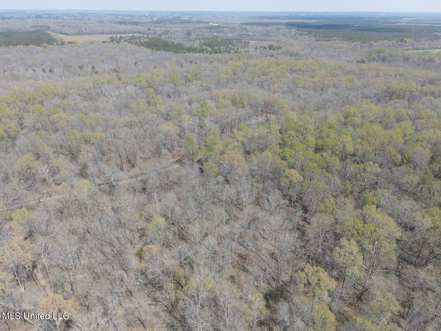 Ms-8 Calhoun City, MS 38916 - Photo 51 of 61 Photo Mar 23 2024, 1 00 06 PM (Large)