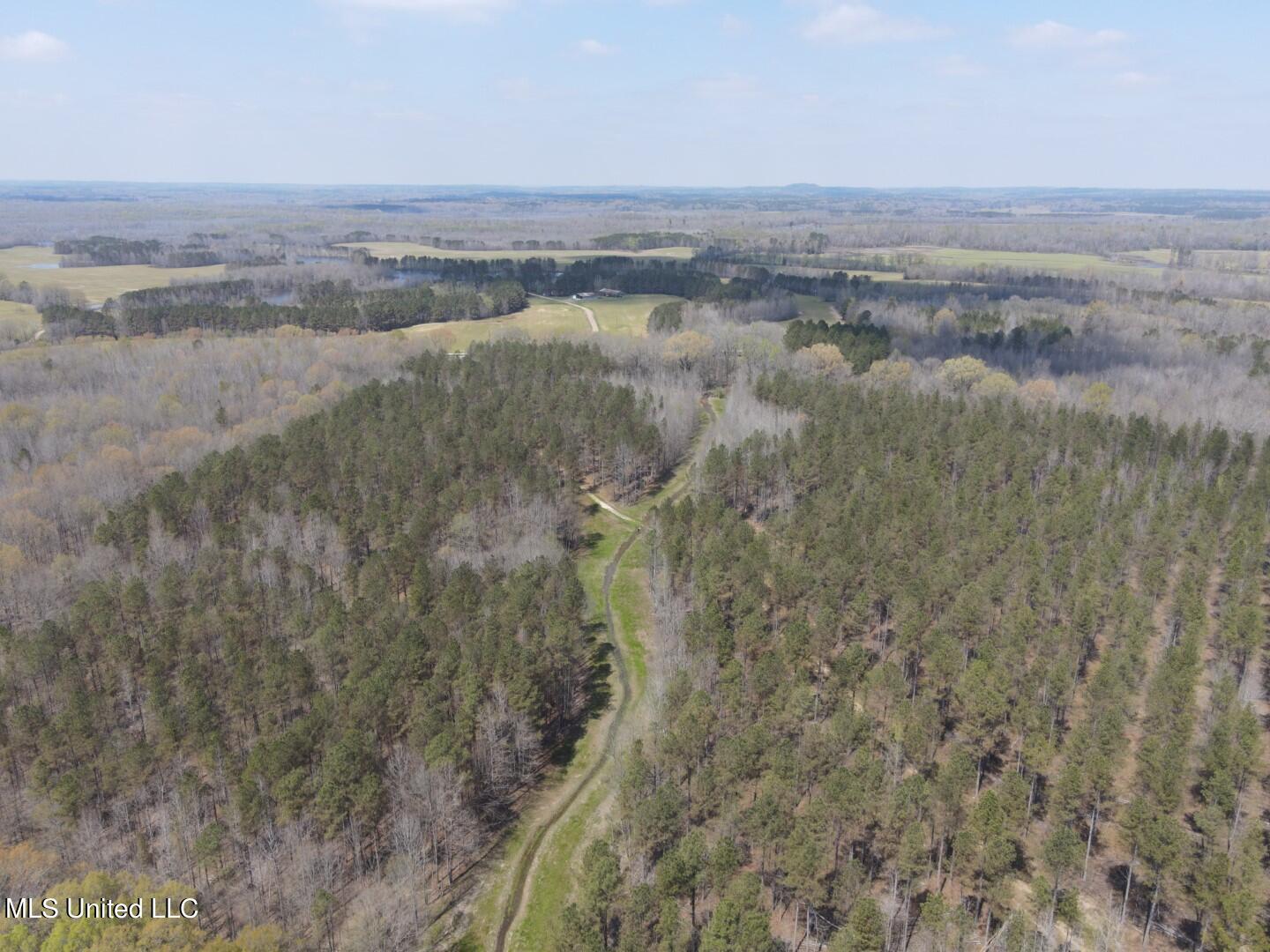 Ms-8 Calhoun City, MS 38916 - Photo 52 of 61 Photo Mar 23 2024, 1 00 32 PM (Large)