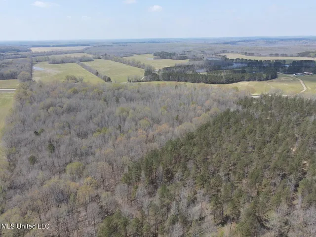 $923,685 | Ms-8, Calhoun City, MS 38916