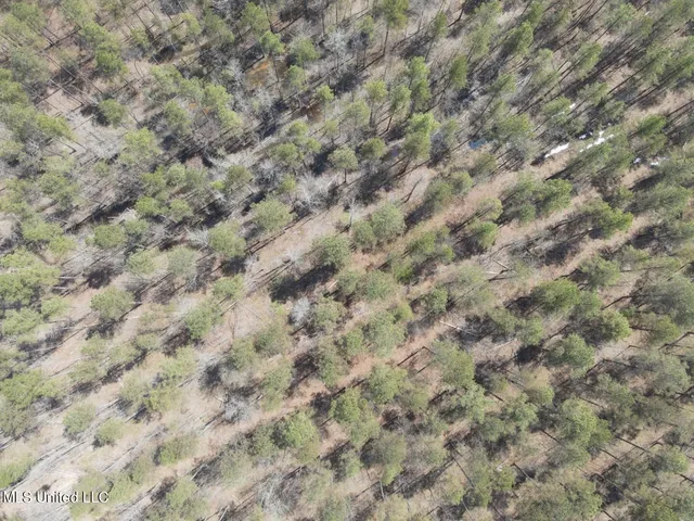 $923,685 | Ms-8, Calhoun City, MS 38916