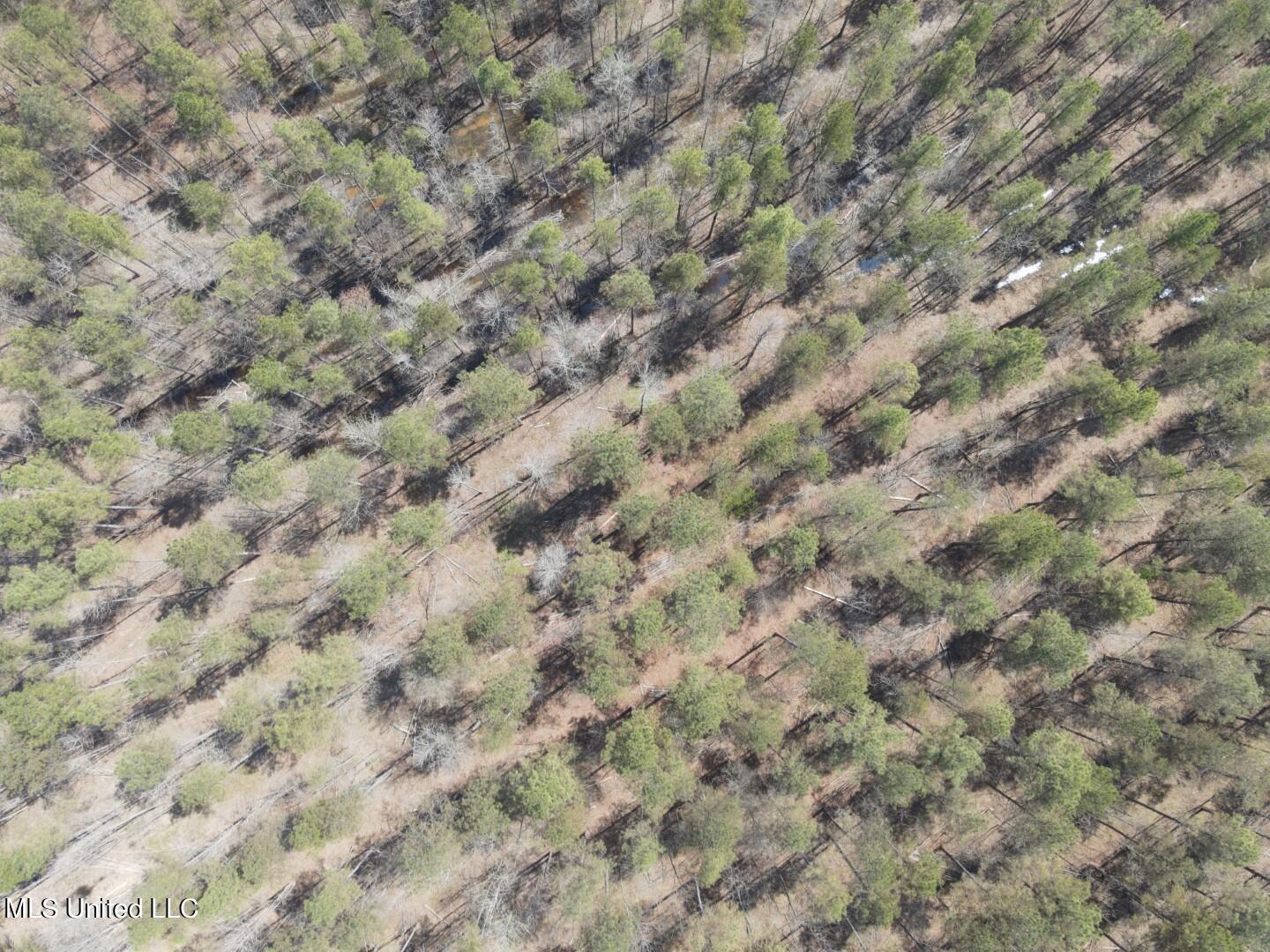 Ms-8 Calhoun City, MS 38916 - Photo 55 of 61 Photo Mar 23 2024, 12 58 25 PM (Large)