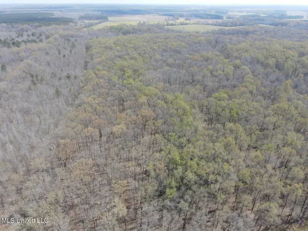 $923,685 | Ms-8, Calhoun City, MS 38916