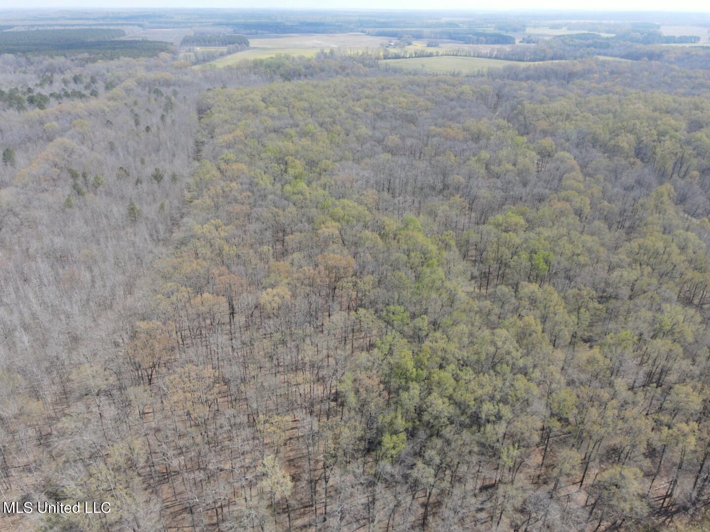 Ms-8 Calhoun City, MS 38916 - Photo 56 of 61 Photo Mar 23 2024, 12 58 33 PM (Large)