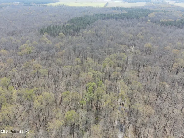 $923,685 | Ms-8, Calhoun City, MS 38916