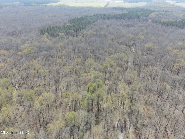 $923,685 | Ms-8, Calhoun City, MS 38916