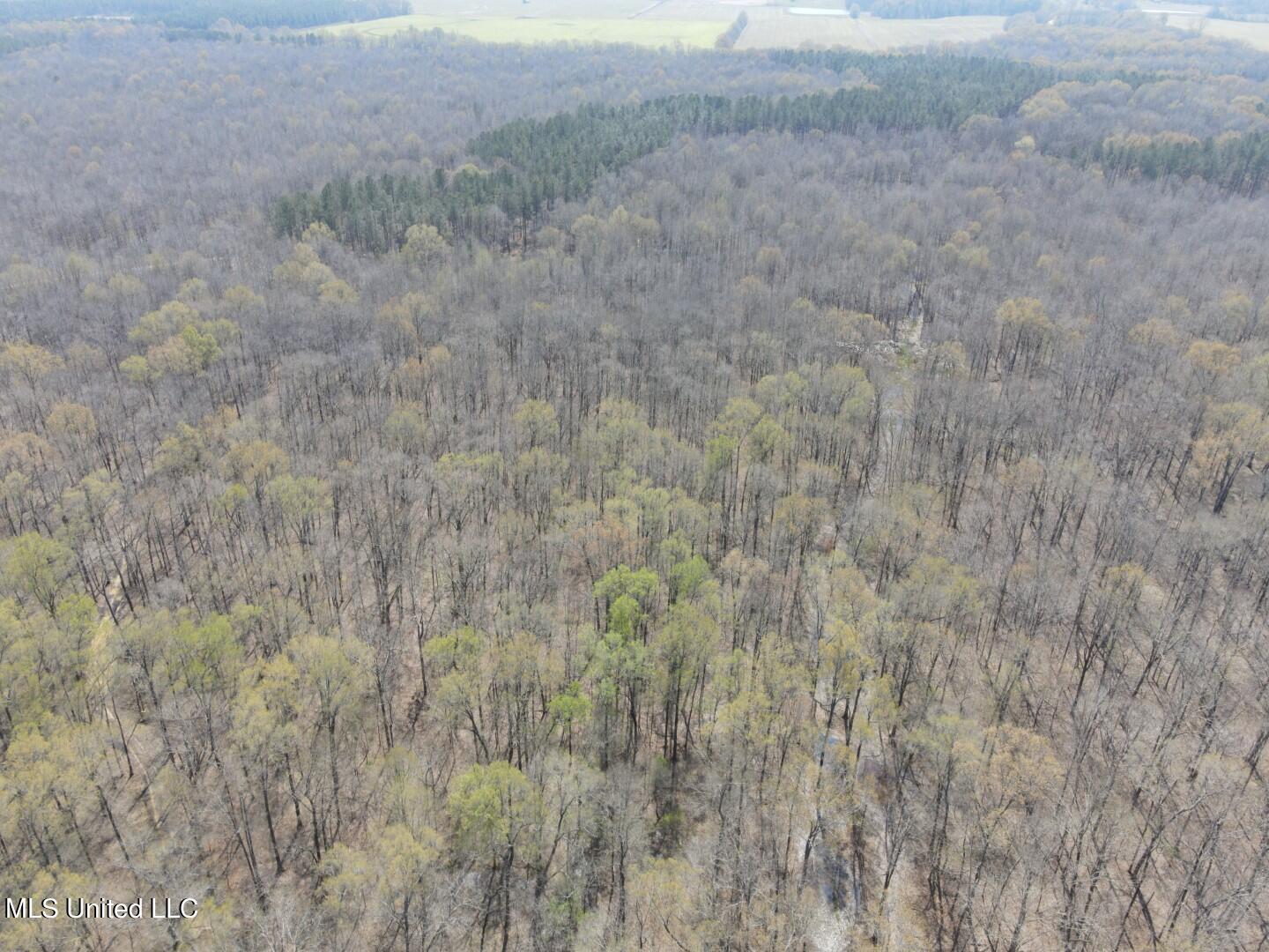 Ms-8 Calhoun City, MS 38916 - Photo 58 of 61 Photo Mar 23 2024, 12 59 43 PM (Large)