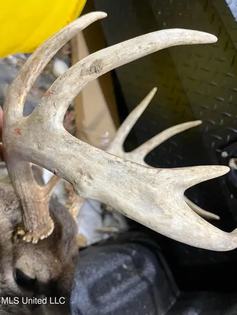 $923,685 | Ms-8, Calhoun City, MS 38916