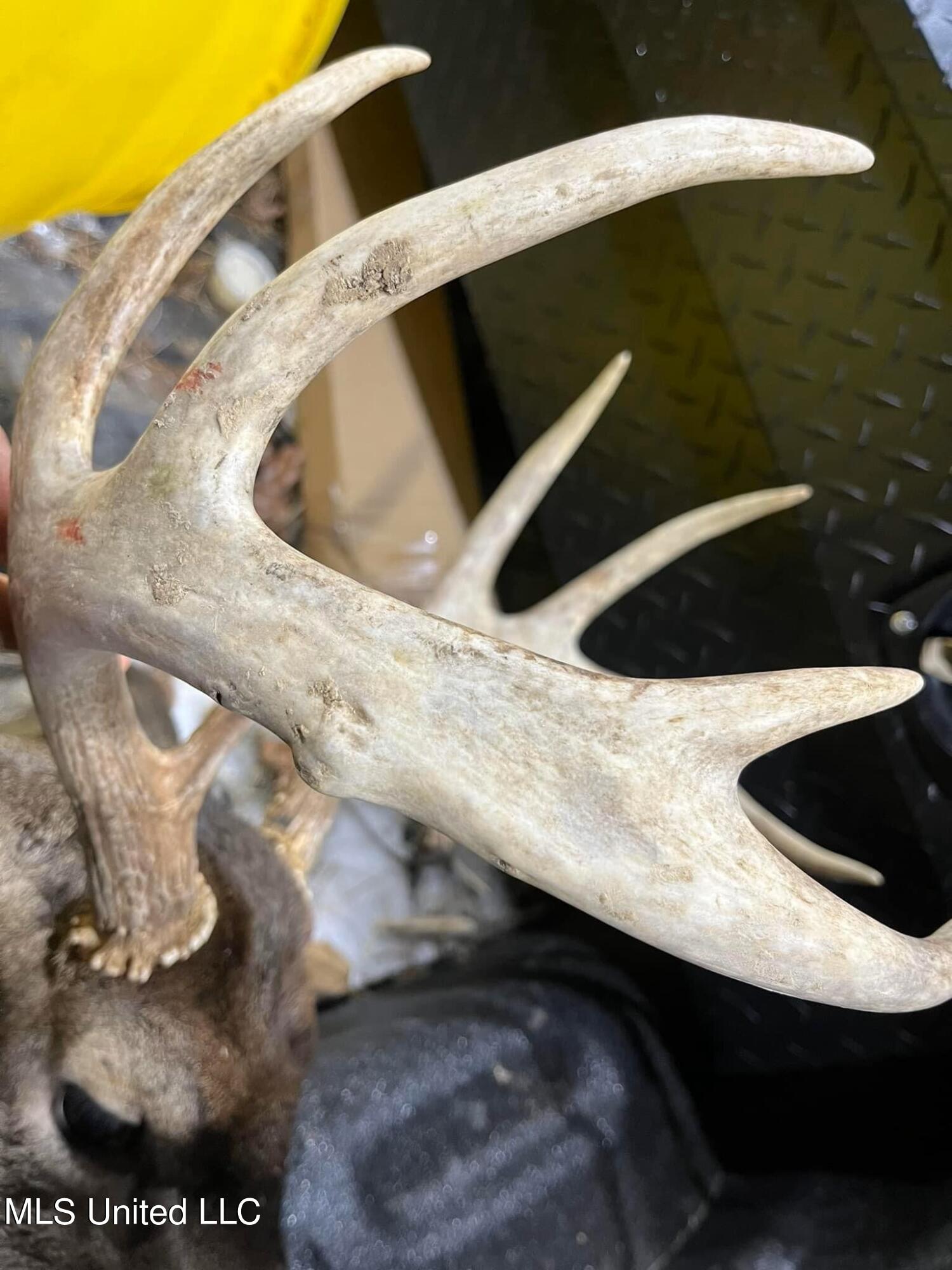 Ms-8 Calhoun City, MS 38916 - Photo 59 of 61 IMG_3117