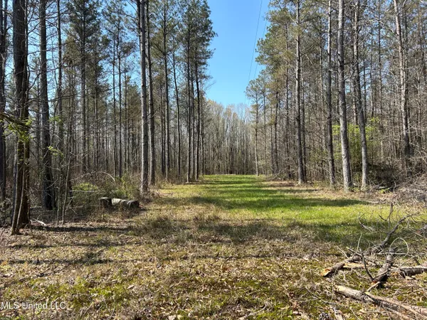 $923,685 | Ms-8, Calhoun City, MS 38916