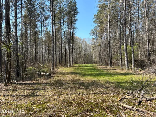 $923,685 | Ms-8, Calhoun City, MS 38916