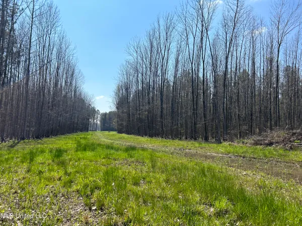 $923,685 | Ms-8, Calhoun City, MS 38916