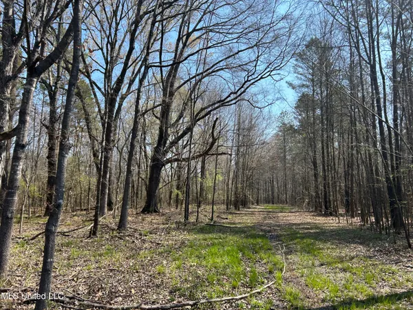 $923,685 | Ms-8, Calhoun City, MS 38916