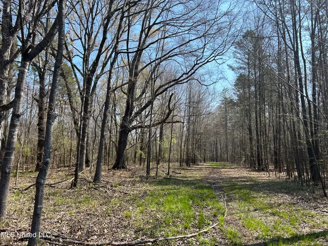 $923,685 | Ms-8, Calhoun City, MS 38916