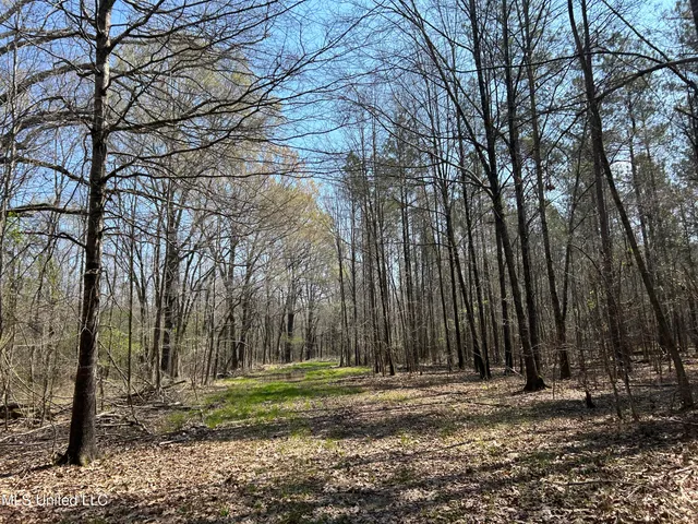 $923,685 | Ms-8, Calhoun City, MS 38916