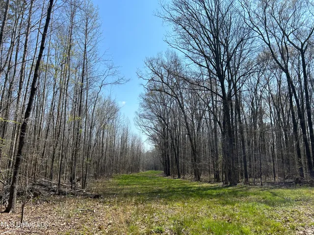 $923,685 | Ms-8, Calhoun City, MS 38916