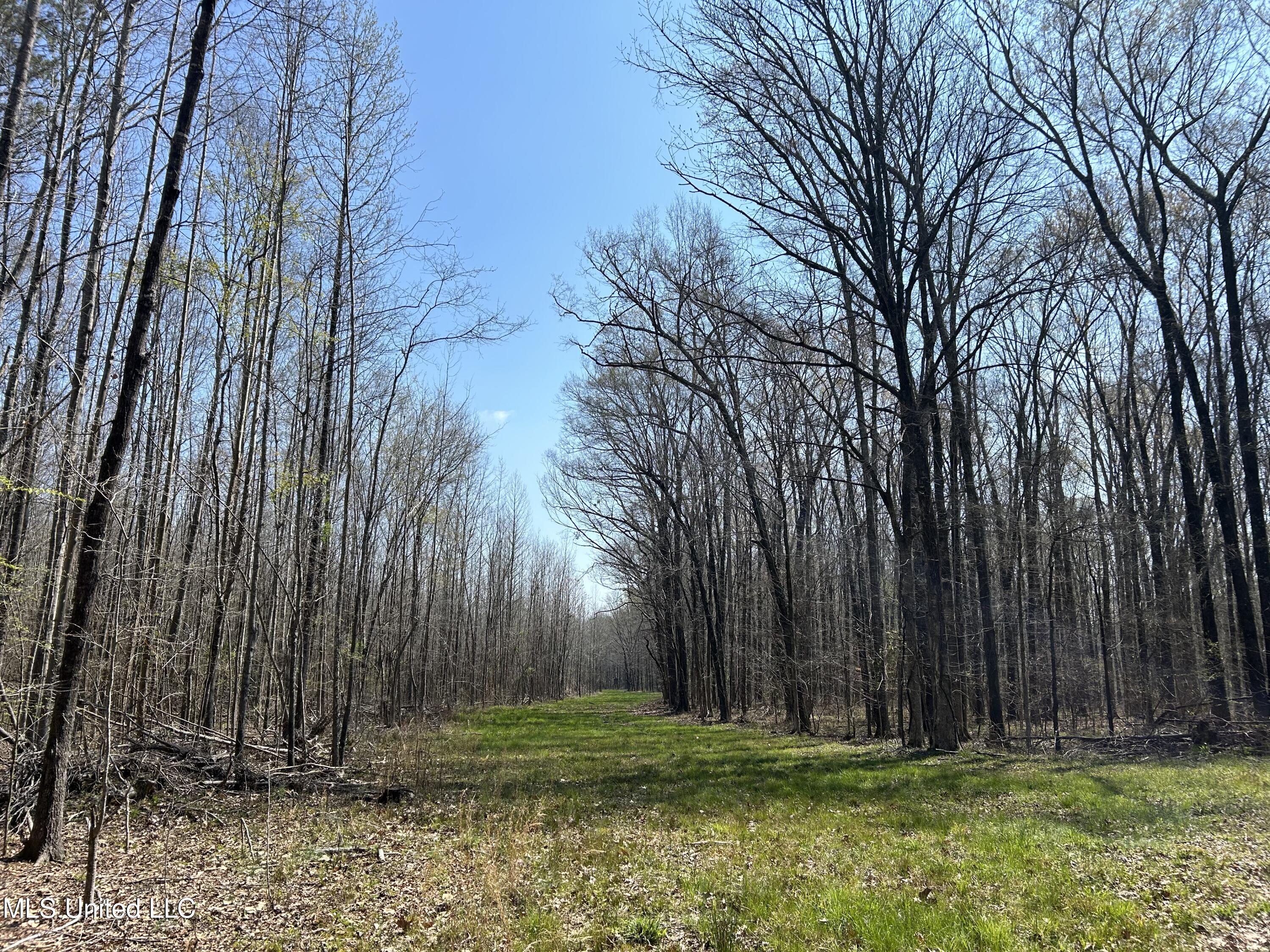 Ms-8 Calhoun City, MS 38916 - Photo 10 of 61 Photo Mar 23 2024, 11 49 41 AM