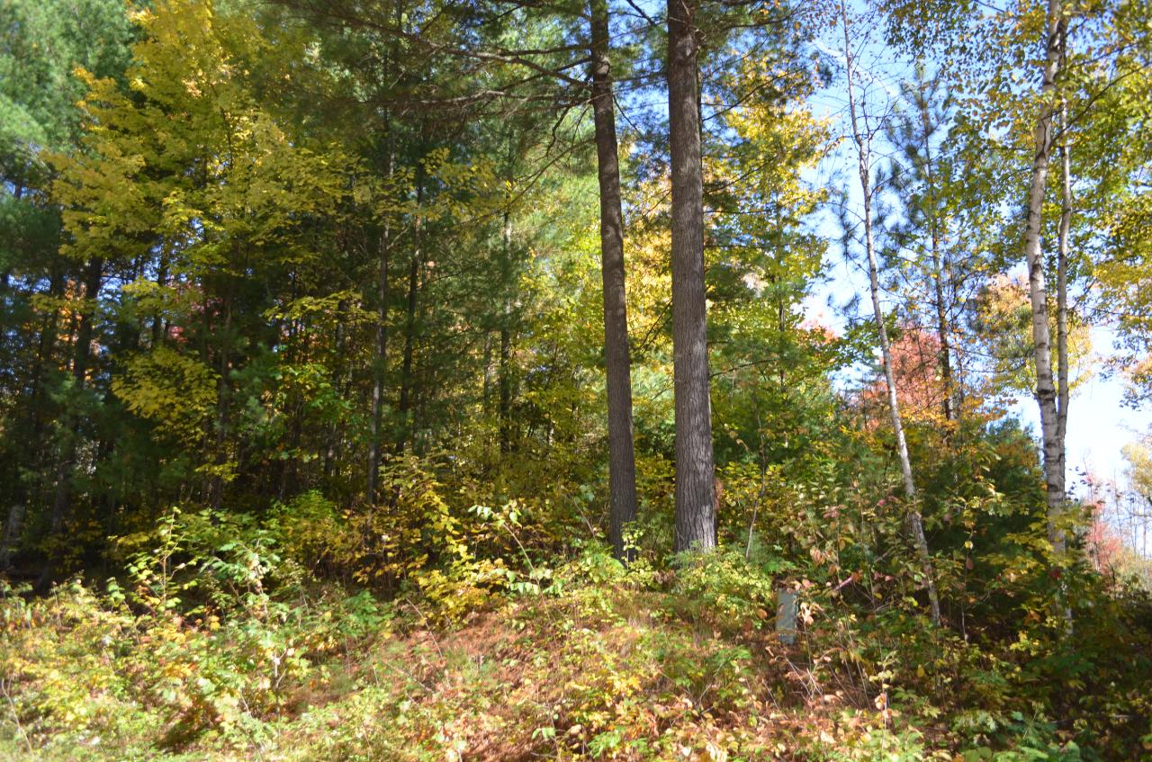 Lot 4 Deer Lake Road Tomahawk, WI 54487 - Photo 2 of 15 Gallery Image 2