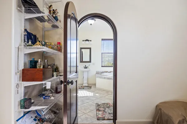 a view of a yard with plants and trees