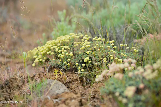 a view of an ocean beach