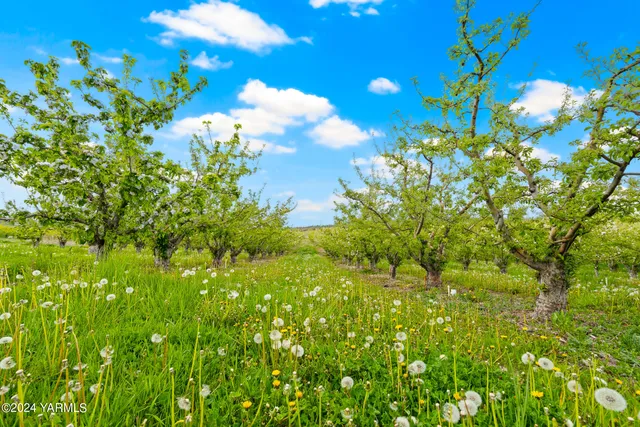 a view of an ocean and a houses