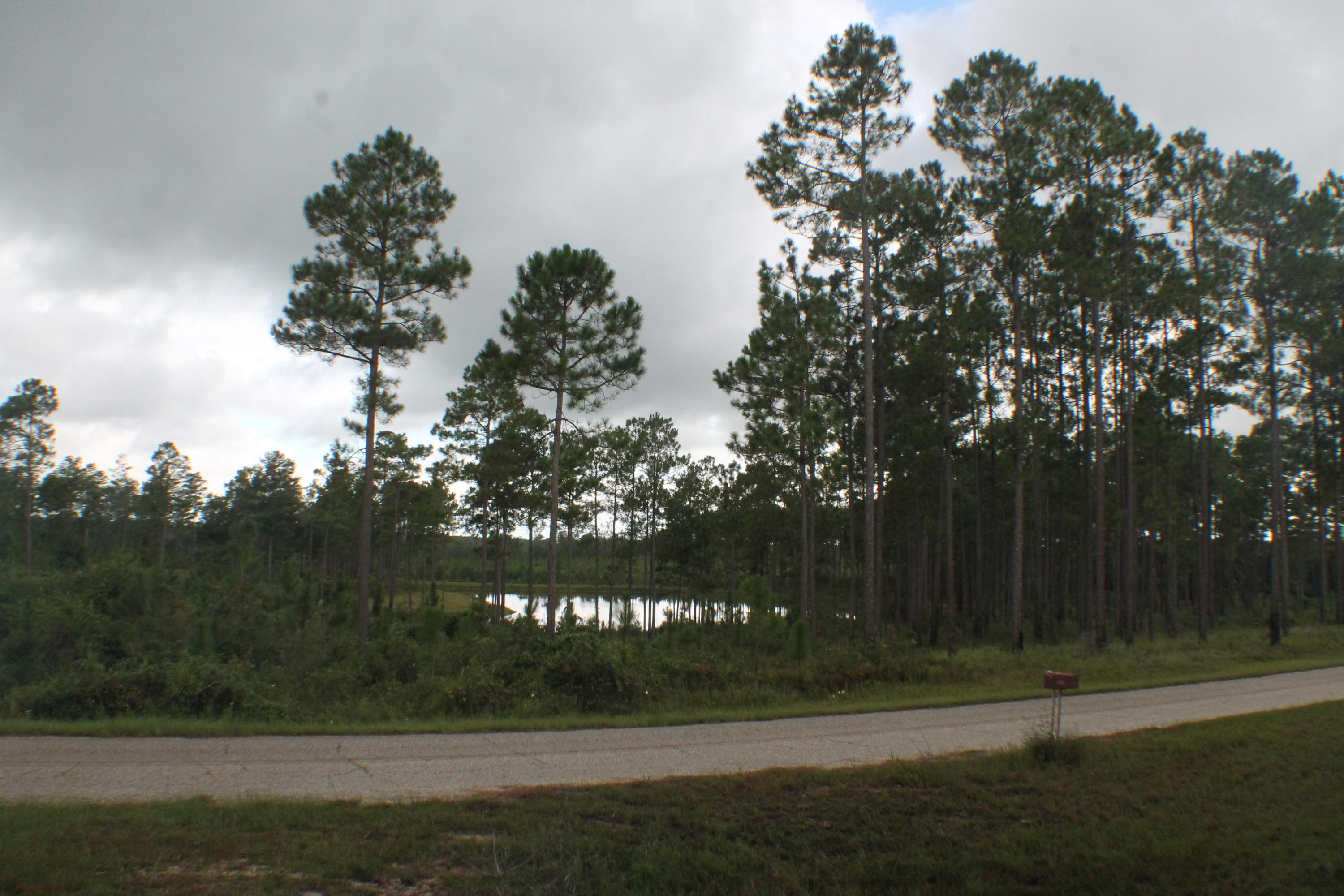 1875 Middle Creek Road Wing, AL 36483 - Photo 3 of 24 a view of a park