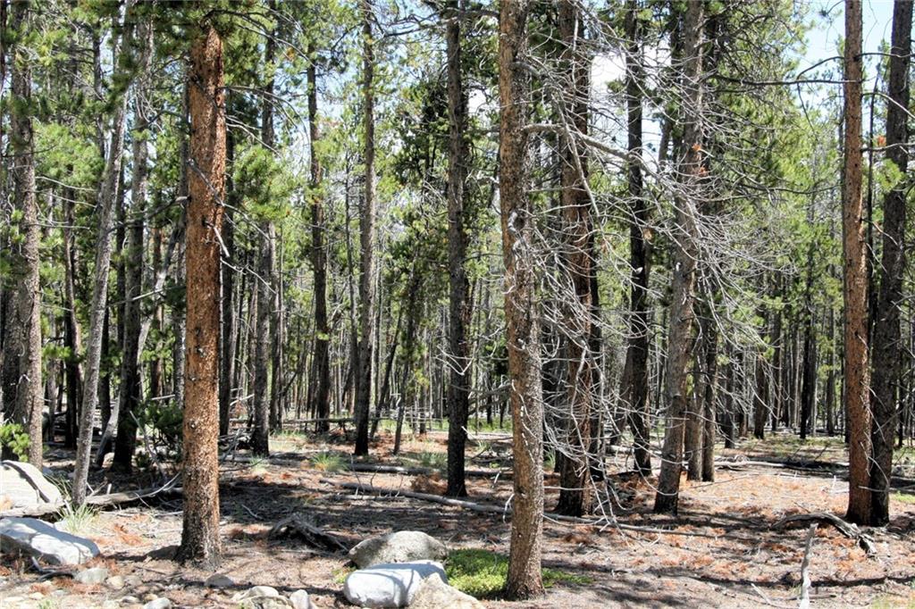 0 Thompson Park Road Fairplay, CO 80440 - Photo 15 of 25 Gallery Image 15