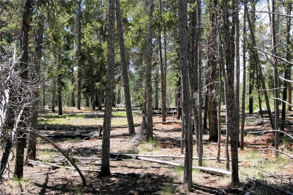 0 Thompson Park Road Fairplay, CO 80440 - Photo 18 of 25 Gallery Image 18