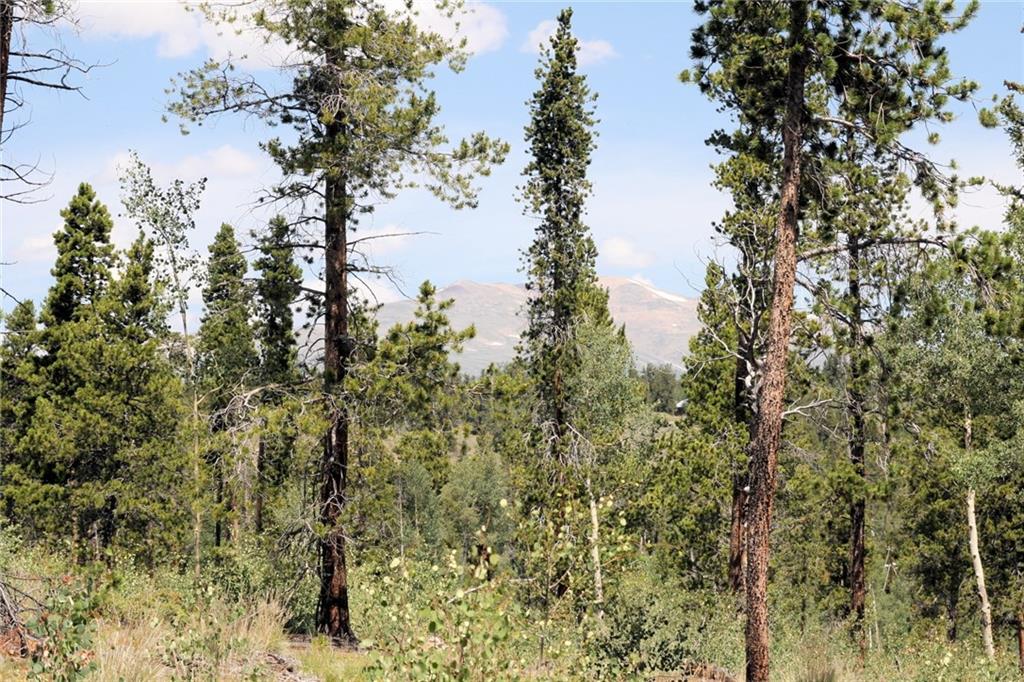 0 Thompson Park Road Fairplay, CO 80440 - Photo 22 of 25 Gallery Image 22