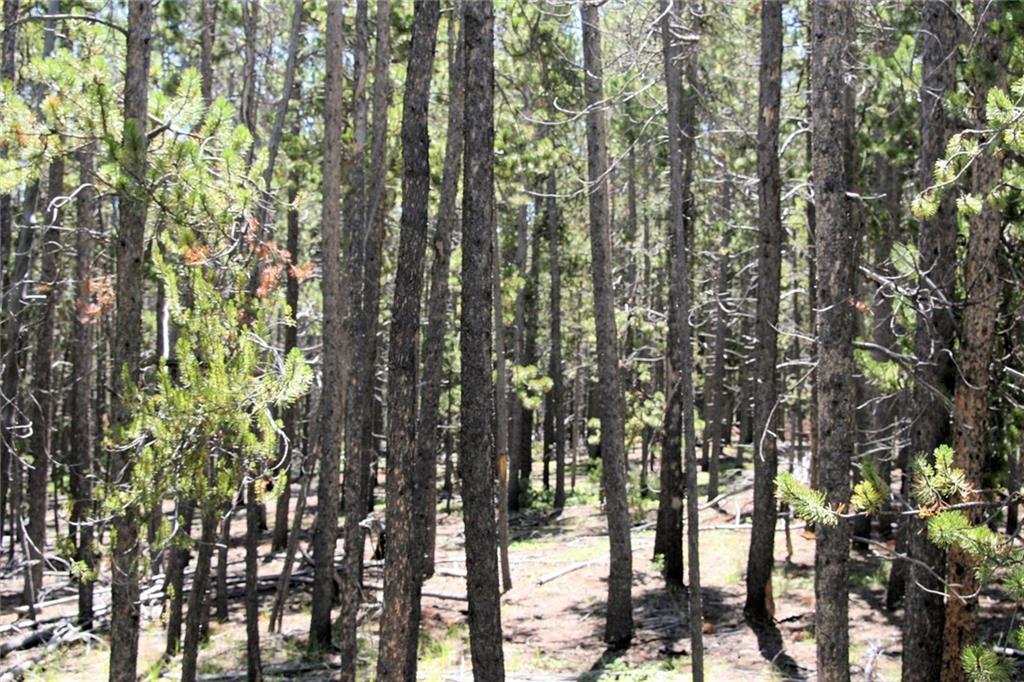 0 Thompson Park Road Fairplay, CO 80440 - Photo 23 of 25 Gallery Image 23