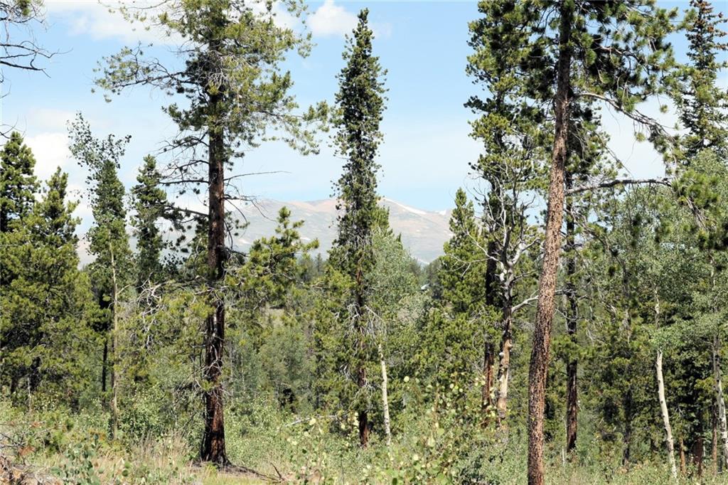 0 Thompson Park Road Fairplay, CO 80440 - Photo 24 of 25 Gallery Image 24