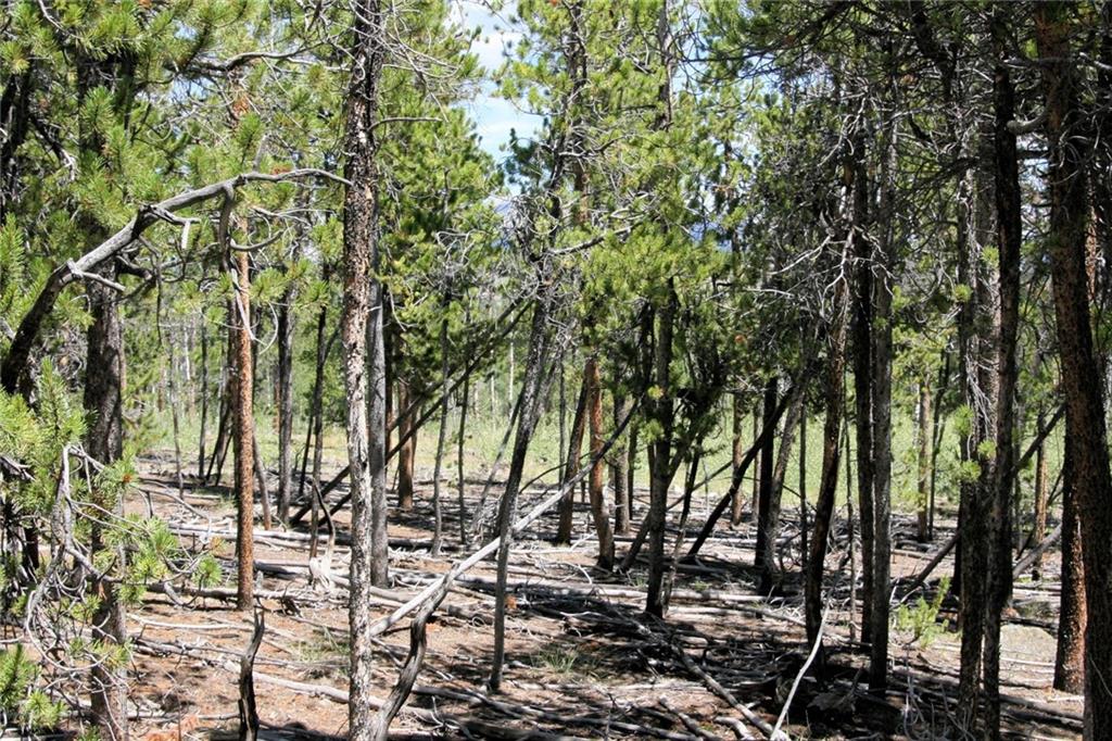 0 Thompson Park Road Fairplay, CO 80440 - Photo 9 of 25 Gallery Image 9