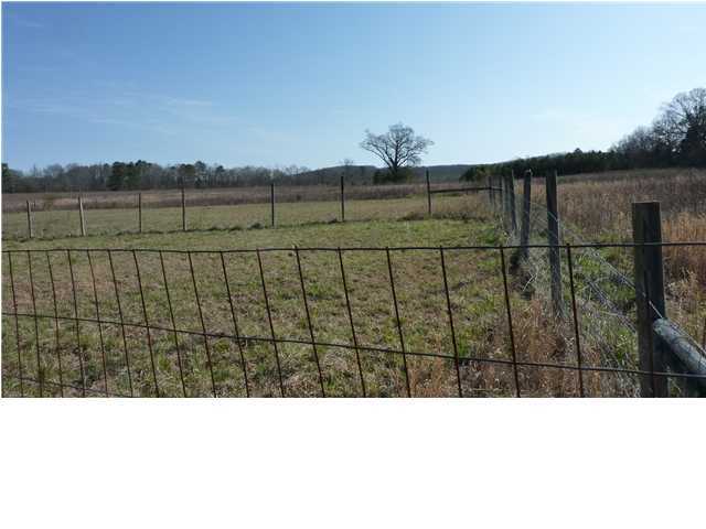 610 Railey Road Summerville, GA 30747 - Photo 8 of 9 Additional Photo